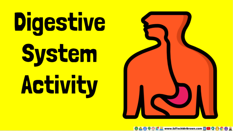 Digestive System Google Slides Activity